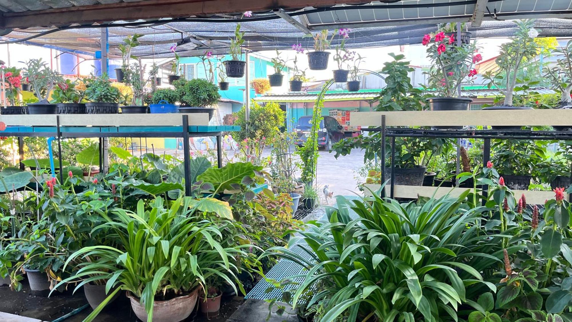 Pa Chalermchai Guesthouse Bangkok Luaran gambar